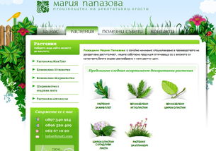 国外12款浅绿色主题网站设计欣赏