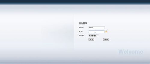 java web宠物生态系统 完整源码 附带详细的设计报告